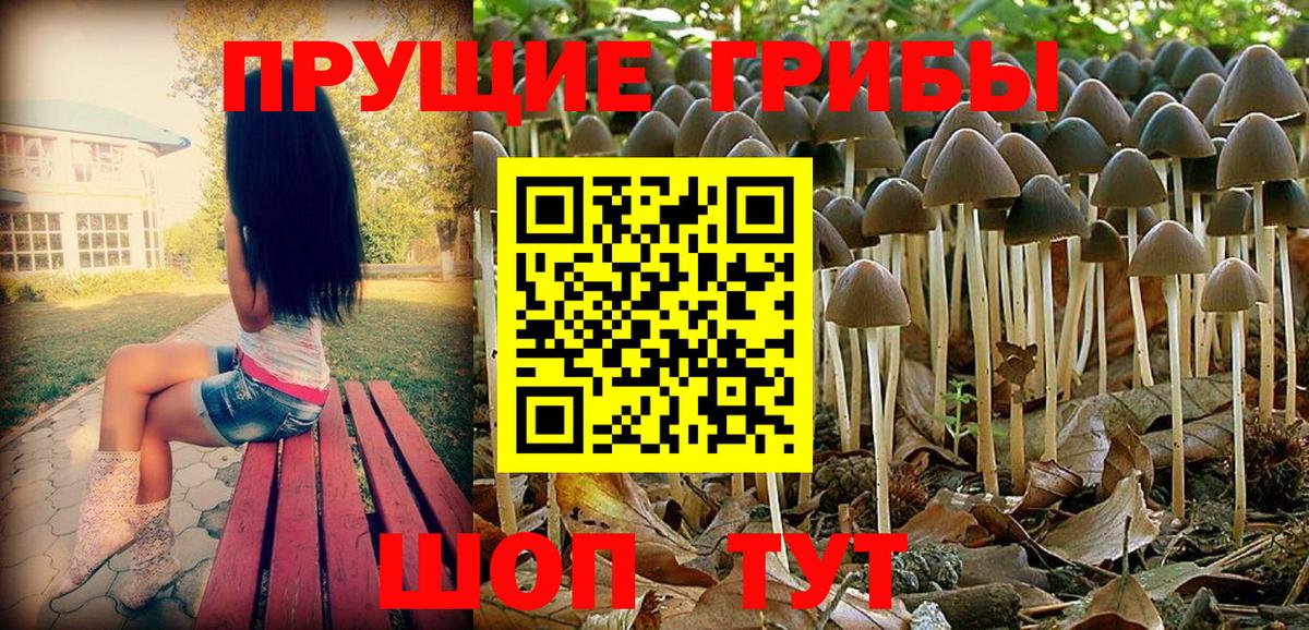 Галлюциногенные грибы мицелий  Галлюциногенные грибы GOLDEN TEACHER  купить   Вход с VPN  Белогорск 