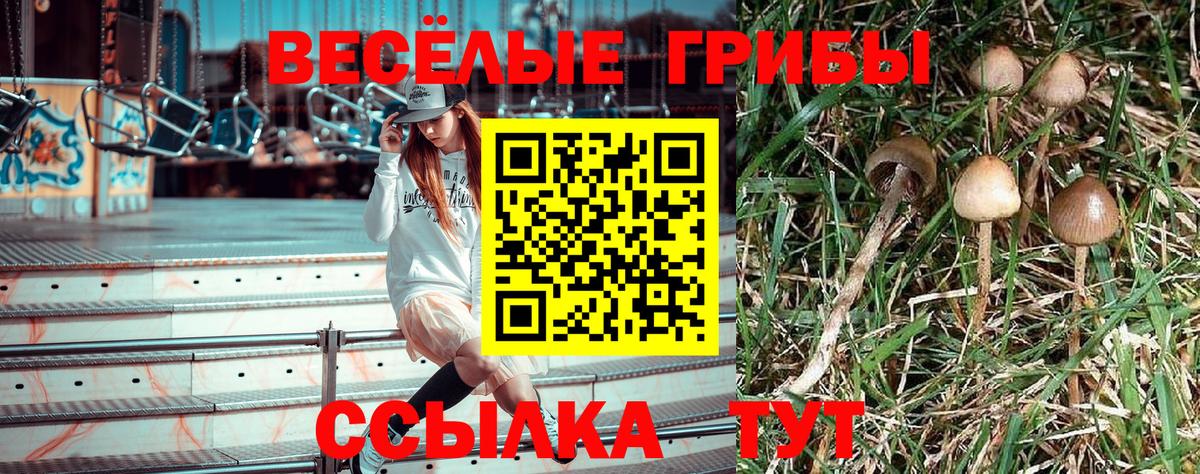 Галлюциногенные грибы Cubensis Белогорск